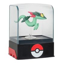 Pokémon Boneco De Batalha /case De Luxo Colecionáveis Dreepy