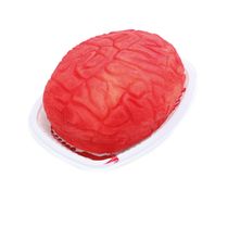 Acessório - Cérebro com Sangue - Halloween - Cromus