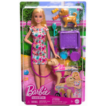 Barbie Animais De Estimação Cadeira De Rodas HTK37 Mattel