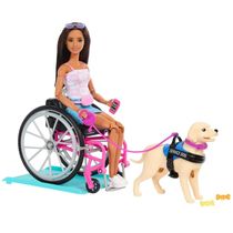 Boneca Barbie Articulada Cadeira de Rodas Cão Serviço HJY85 Mattel