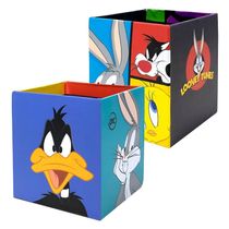 Kit 2 Organizadores De Mesa Looney Tunes Dac