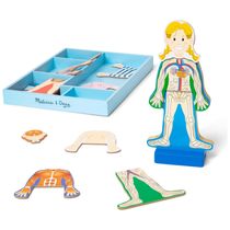 Kit Magnético Anatomia Humana com 24 Peças e Bandeja de Armazenamento, Melissa & Doug