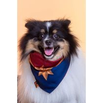 Bandana Pet Captain Marvel G/GG