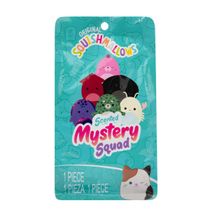 Pelúcia Perfumada Surpresa Mystery Squad S.3 - Squishmallows