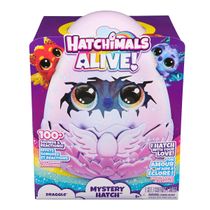 Hatchimals Surpresa Dragão - Hatchimals Alive!