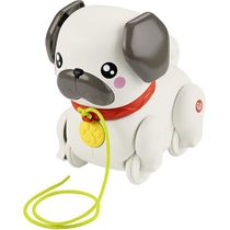 Brinquedo Para Bebê Pug Passeia Comigo Fisher Price