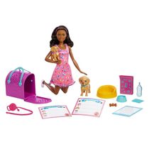 Barbie Conjunto Adota Cachorrinhos Negra - Mattel