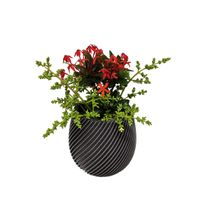 Vasinho 3D Planta Decorativo Cachepot Espiral Cor Grafite Metalizado