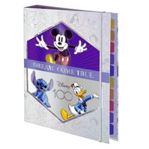 CADERNO ARGOLADO UNIVERSITARIO DISNEY 100 4155