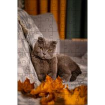 Kit 4 Quebra-Cabeças de Gatos Fotos inteligentes Diversão Inclusiva de 60 peças