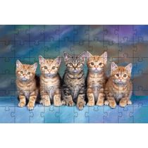 Quebra-Cabeças Gatinhos de 60 peças  Educativo e Inteligente