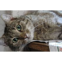 Quebra-Cabeça Gato Manhoso de 60 peças  Educativo e Cognitivo