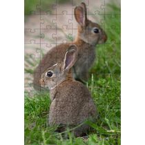 Kit 2 Quebra-Cabeça Inclusivos  Beleza dos coelhos em 40 Peças grandes