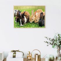 4 Quebra-Cabeças Coelhos Diversão Inclusiva e Inteligente 24 peças grandes