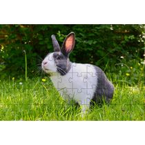 Quebra-Cabeça Belo Coelho de 60 peças  Educativo e Inteligente