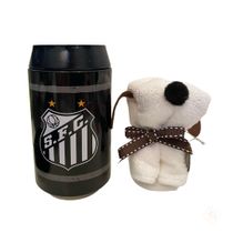 Cofre Com Toalha Cachorro Santos Fc - Taimes