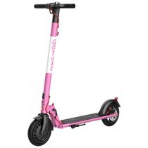 Patinete Elétrico Scooter 24 kmh, para até 100 kg e Maiores de 13 Anos, GOTRAX GXL V2, Cinza