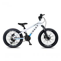 Bicicleta Aro 20 Colli Dublin Shimano 8v Branco