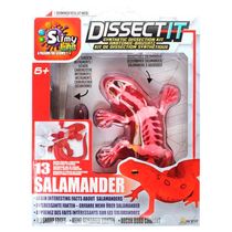 Kit de Dissecação com Refil Lab Dissect-It - Salamandra