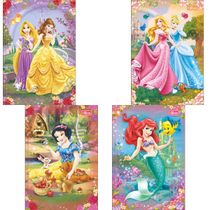 CADERNO BROCHURA CAPA DURA 1/4 PRINCESAS DISNEY 80FL TILIBRA