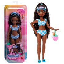 Boneca Barbie Brooklyn Praia - Barbie Dream Besties c/ Acessórios - Mattel